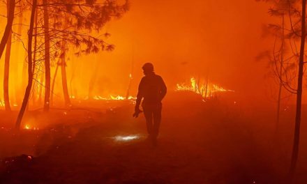 Incendie de Landiras / Hostens